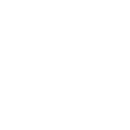 icon5